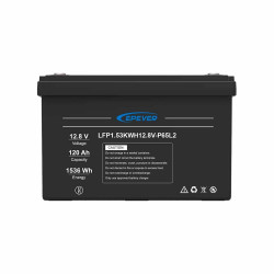 Аккумулятор EPEVER LFP1.53KWH12.8V-P65L2